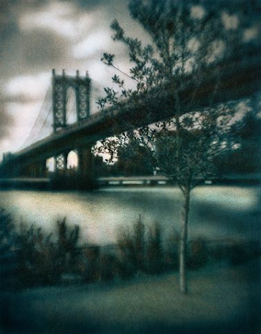 A Tree in Brooklyn by Peter Liepke