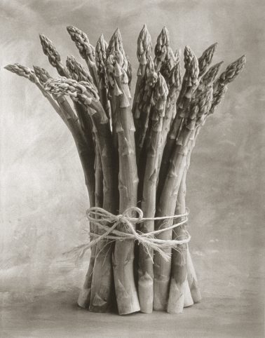 Asparagus by Cy DeCosse