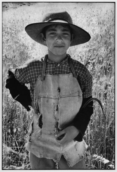 Young farmer with sickle Sicily Italy, 1974 by Leonard Freed