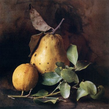 Autumn Quince and Lemon by Cy DeCosse