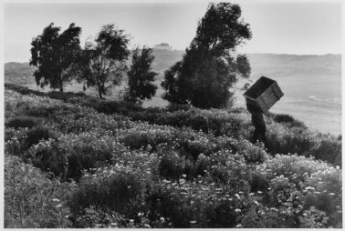 Man carries empty box up hill, Sicily, Italy, 1975 by Leonard Freed