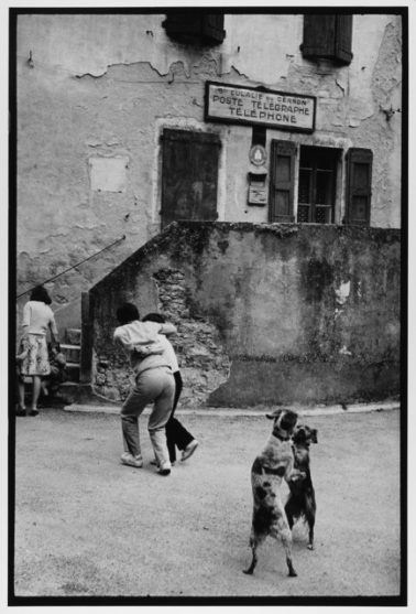 Dogs Dancing, Cote D'azur, France, 1980 by Leonard Freed