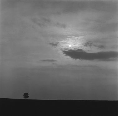 Landscape at Sunrise, Lancaster, PA, 1965 by George Tice