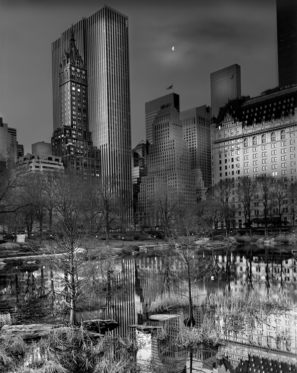 Michael Massaia: Moonrise: Deep In A Dream, Central Park