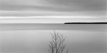 Tree, Lake Superior, 2007 by Brian Kosoff