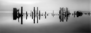 Pier Pilings in Still Water, 2012 by Brian Kosoff
