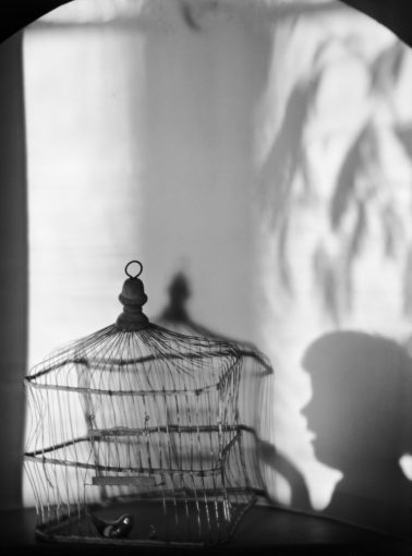 Birdcage and Shadows, 1921 by Imogen Cunningham