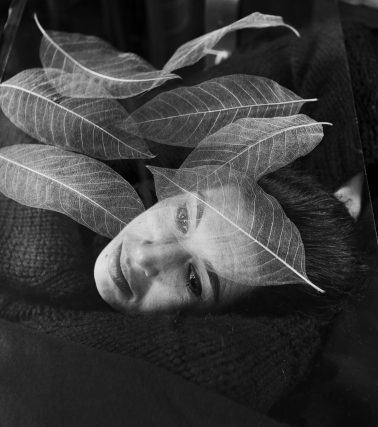 Taiwan Leaves, 1963 by Imogen Cunningham