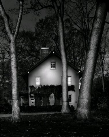 Oradell Home, Three Trees, In The Final Throes, NJ by Michael Massaia