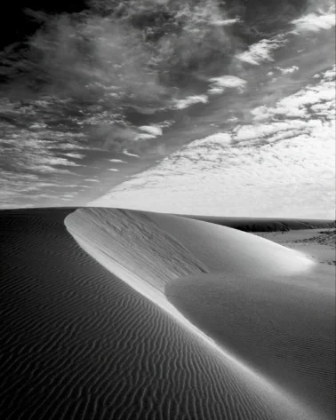 Vertical Dune, Oregon #583, 2012 by Stu Levy