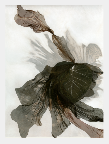 Elizabeth Opalenik - Green not Envy 2, 2007
