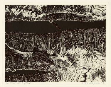 Elizabeth Opalenik - Black River In Life Crystalization