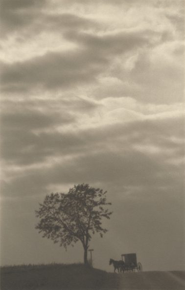 Elizabeth Opalenik - The Journey Home, Platinum