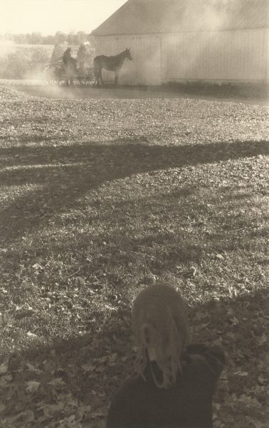 Elizabeth Opalenik - Watching The Dust, Platinum