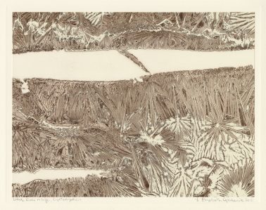 Elizabeth Opalenik - White River In Life Crystalization