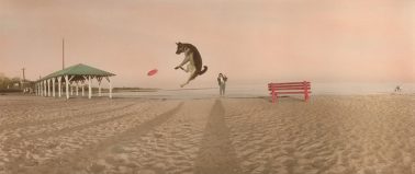Elizabeth Opalenik - Who Threw The Dog
